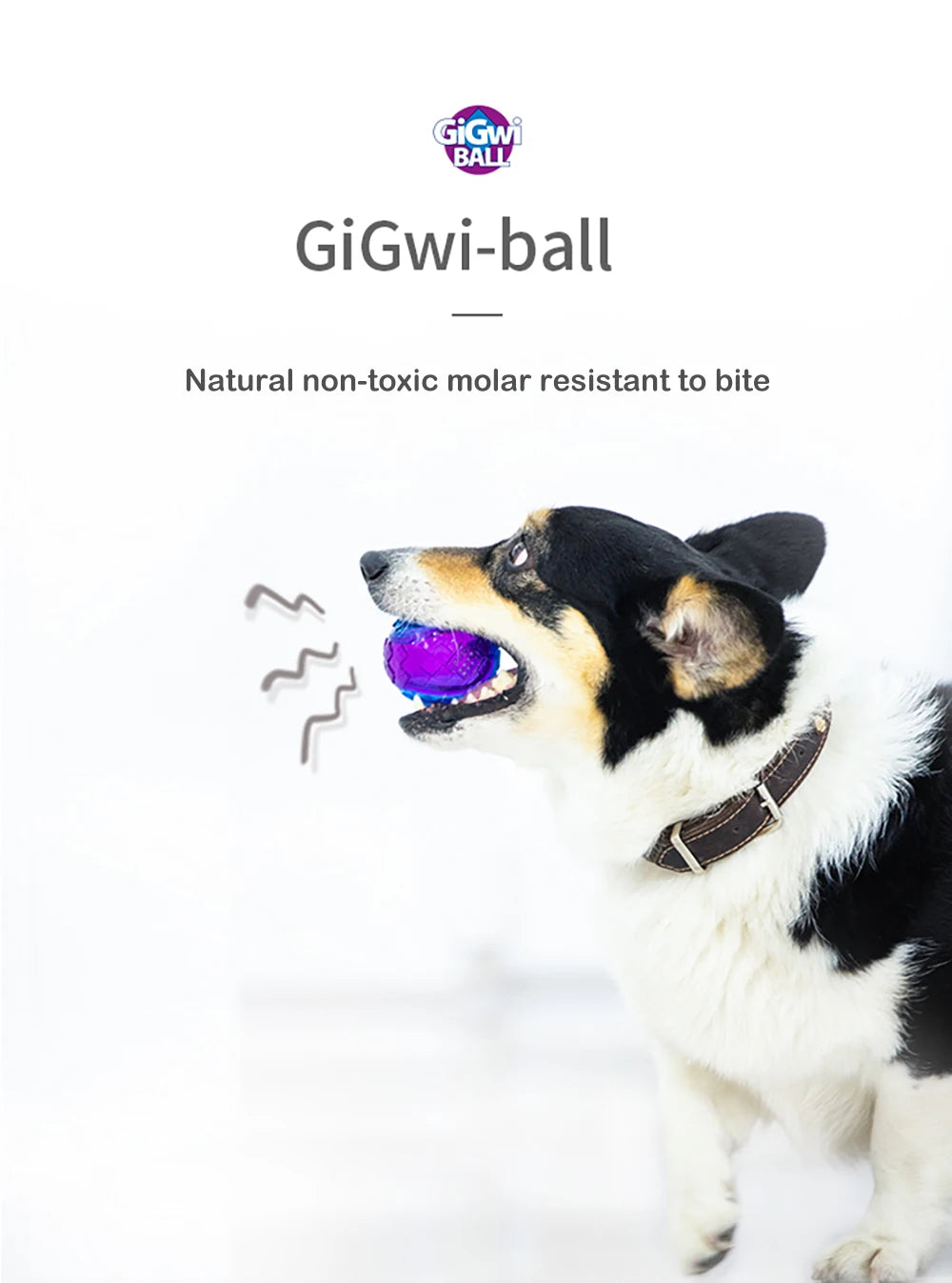 Pelota de Goma Natural con Sonido para Perros - Elástica y No Tóxica (5, 6 o 7 cm)