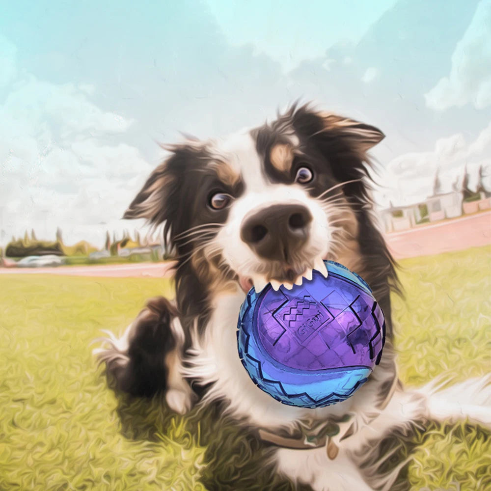Pelota de Goma Natural con Sonido para Perros - Elástica y No Tóxica (5, 6 o 7 cm)