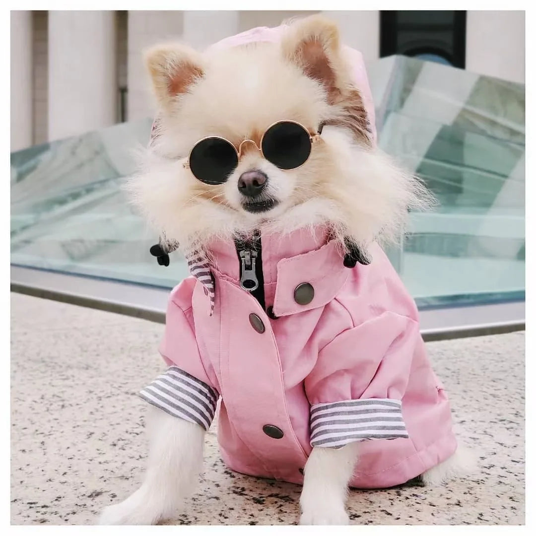 Chubasquero Impermeable de Moda para Perros – Doble Capa con Capucha y Bolsillos | Tallas S a 5XL