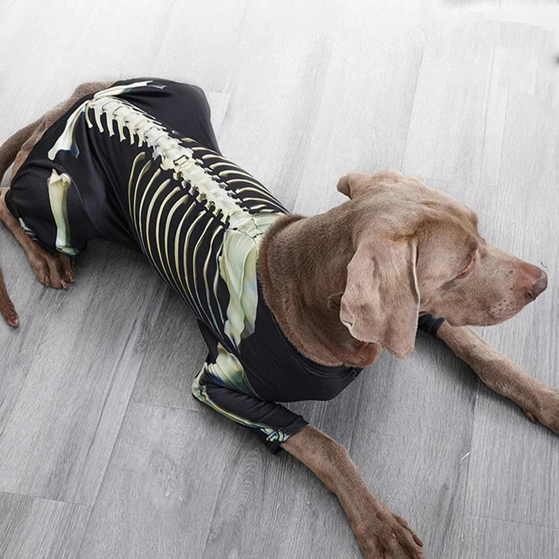 Disfraz de Esqueleto para Perros | Tallas S a XXXL
