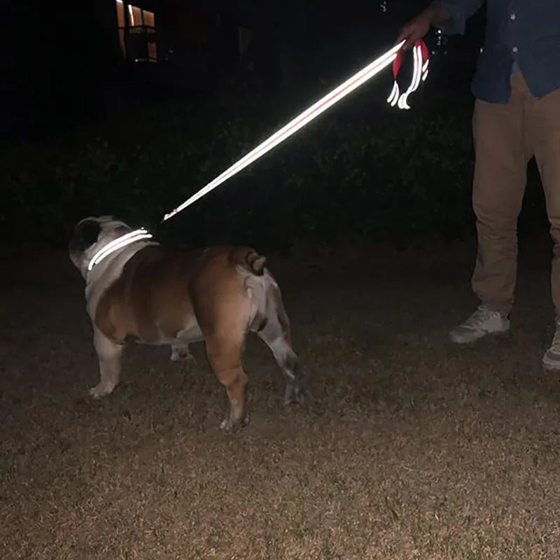 Correa Reflectante para Perros y Gatos — Paseo Nocturno, Varios Colores y Longitudes