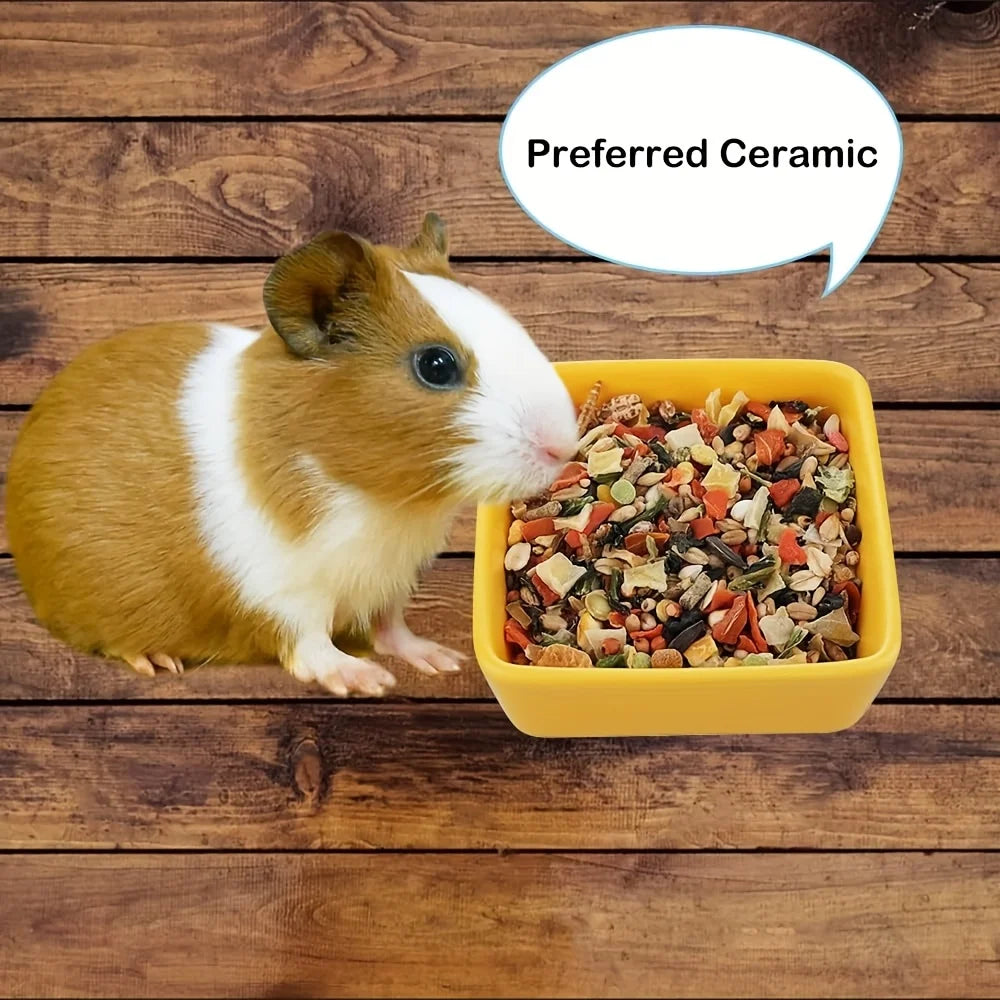 Plato de Cerámica para Pequeños Animales – Hámsters, Conejos, Chinchillas y Más