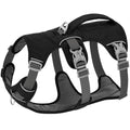 Arnés de Nylon Antipérdida para Perros con Asa de Control — Reflectante, Acolchado, Tallas XS–M