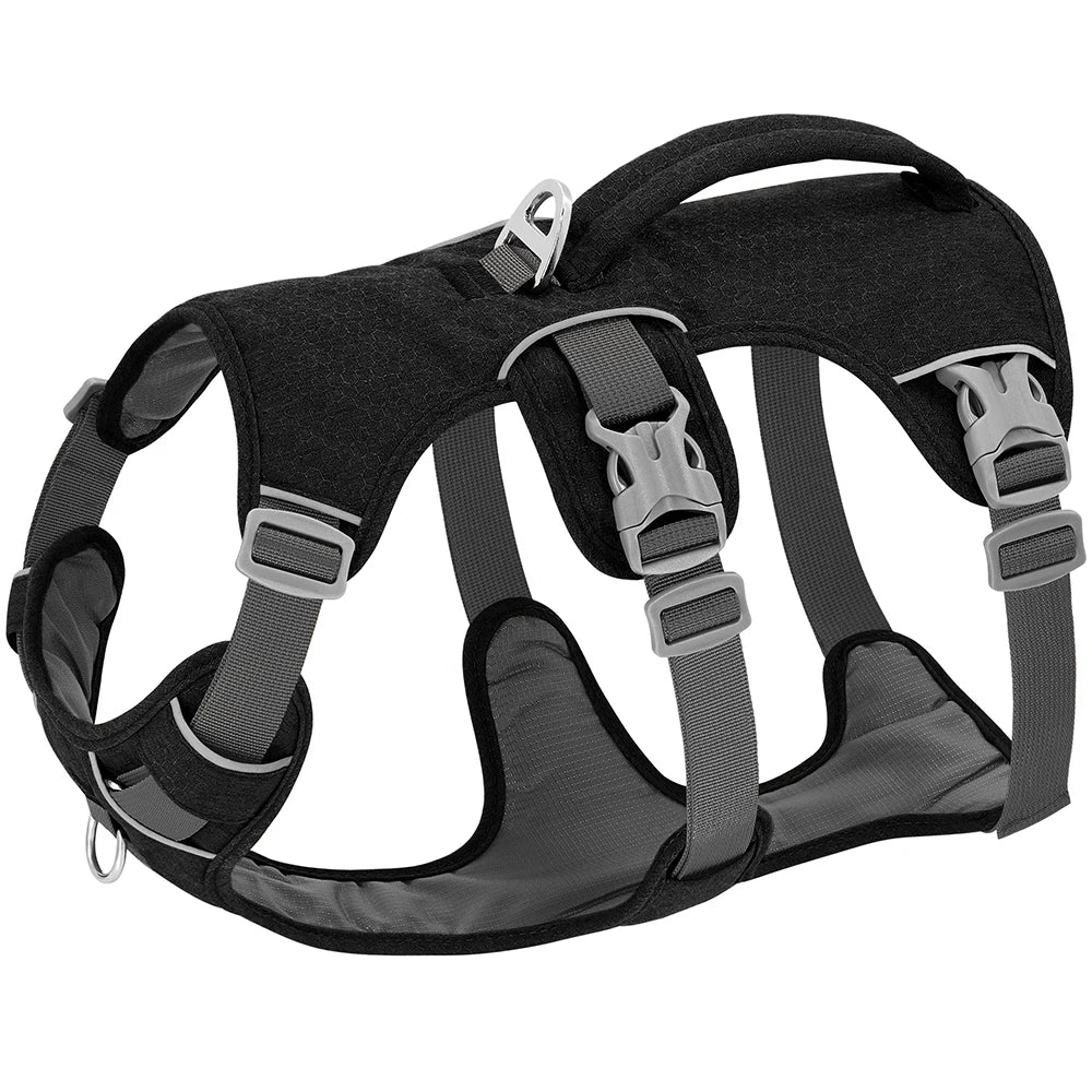 Arnés de Nylon Antipérdida para Perros con Asa de Control — Reflectante, Acolchado, Tallas XS–M