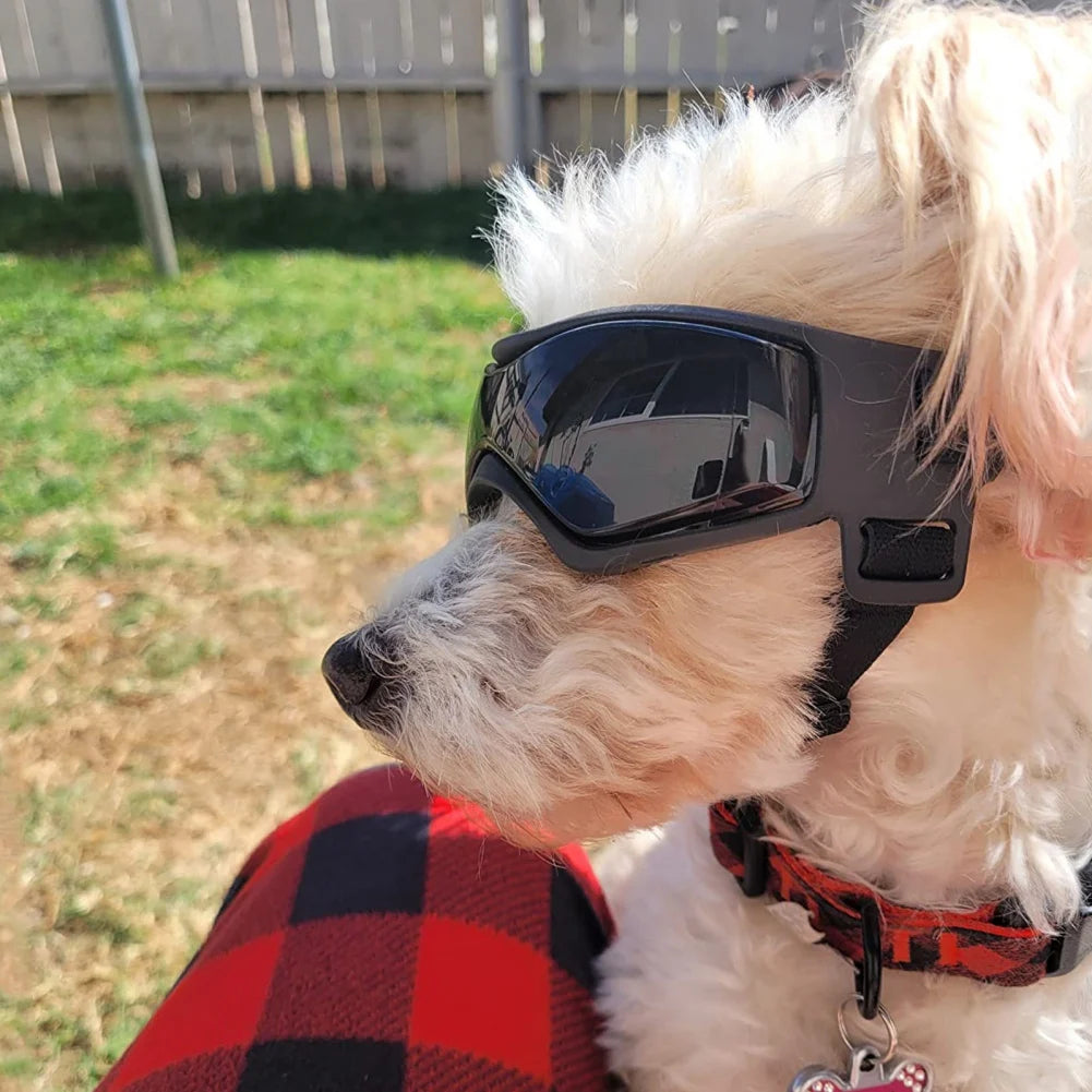 Gafas de Sol UV para Perros – Pequeñas y Medianas Razas
