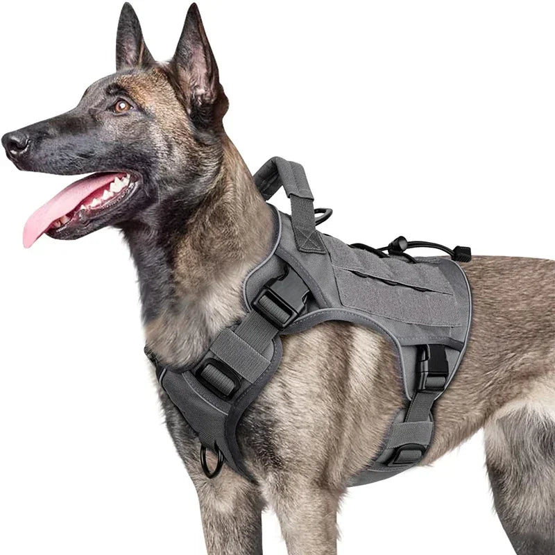 Chaleco Exterior Antisalpicaduras para Perro con Asa — Tallas S a XL