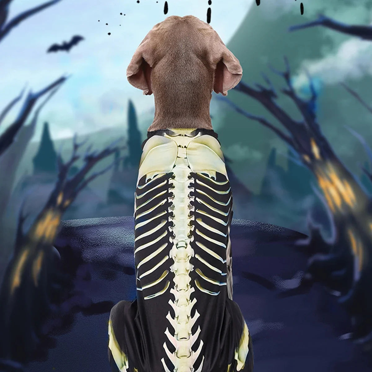 Disfraz de Esqueleto para Perros | Tallas S a XXXL