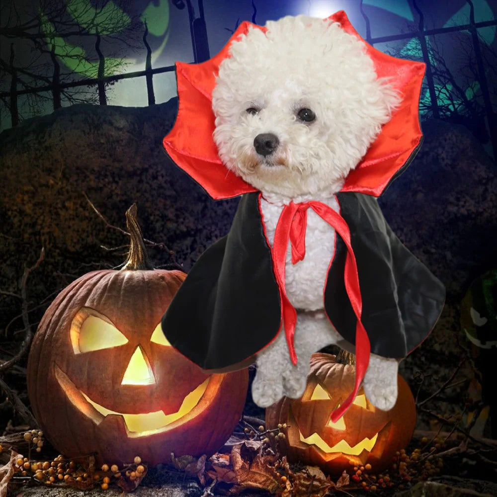 Capa de Vampiro para Perros y Gatos | Halloween