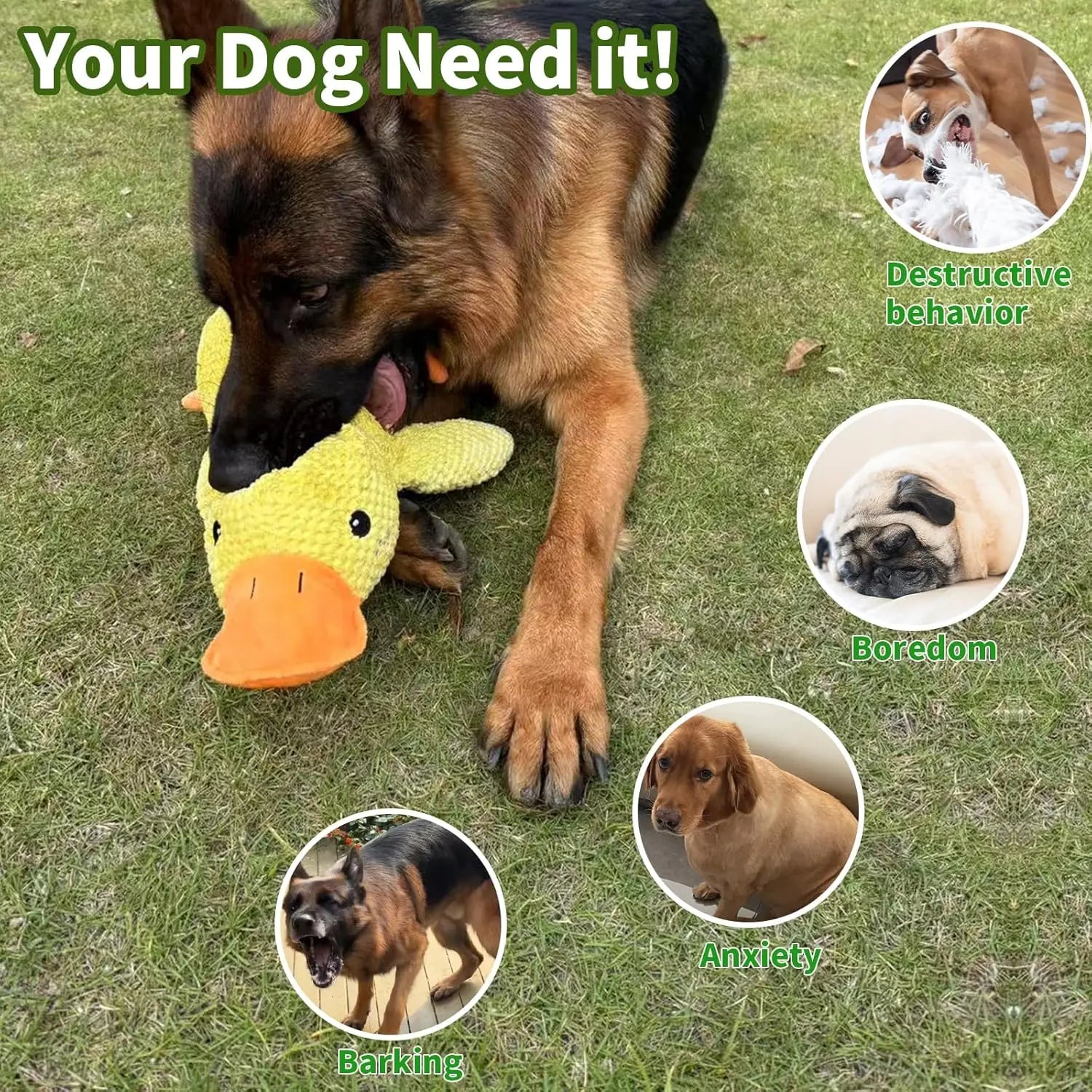 Pato de Peluche con Sonido para Perros - Resistente a Mordiscos para Razas Pequeñas y Grandes