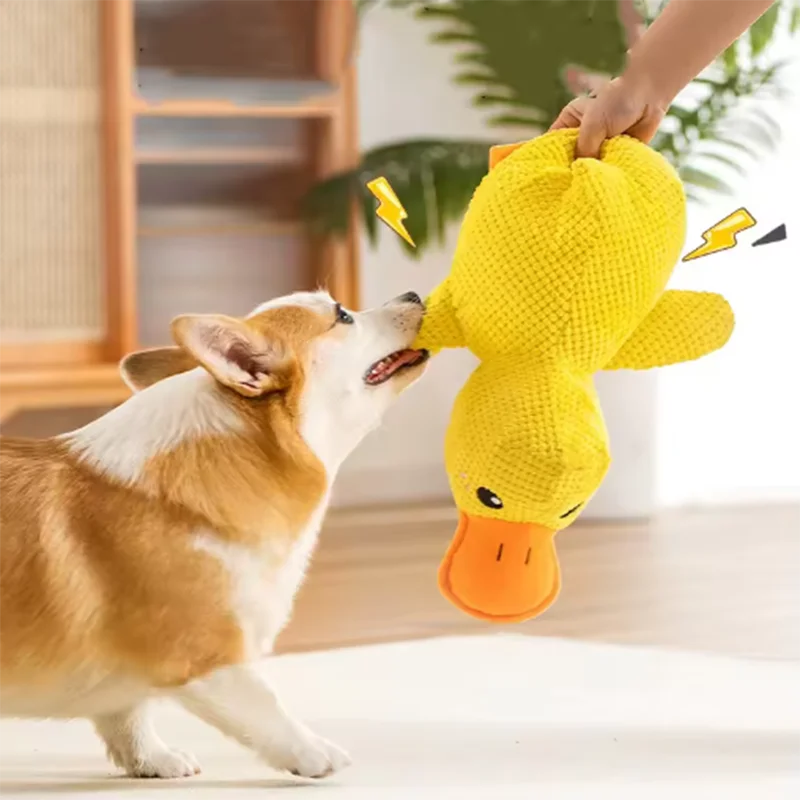 Pato de Peluche con Sonido para Perros - Resistente a Mordiscos para Razas Pequeñas y Grandes