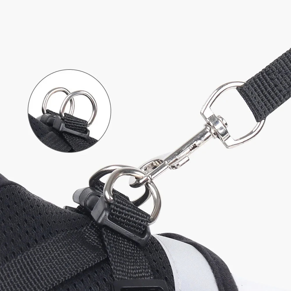 Arnés de Malla con Correa para Gatos y Perros Pequeños — Reflectante, Ajustable, Antipérdida, Tallas XS–XL