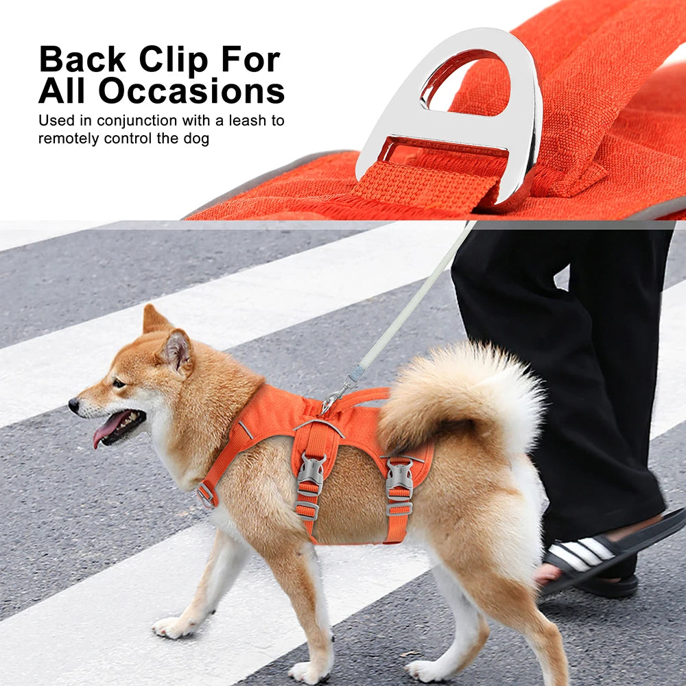 Arnés de Nylon Antipérdida para Perros con Asa de Control — Reflectante, Acolchado, Tallas XS–M