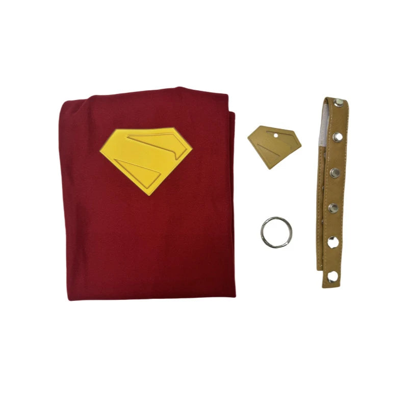 Set Capa Superhéroe con Collar y Chapa para Perros | S-L