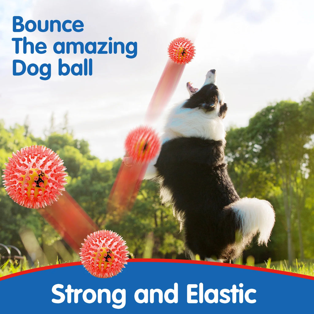 Pelota de Tenis de Goma con Púas y Sonido para Perros - Limpieza Dental para Todas las Razas