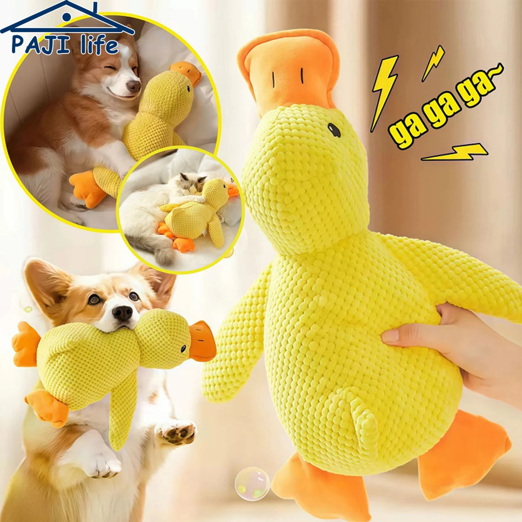Pato de Peluche con Sonido para Perros - Resistente a Mordiscos para Razas Pequeñas y Grandes