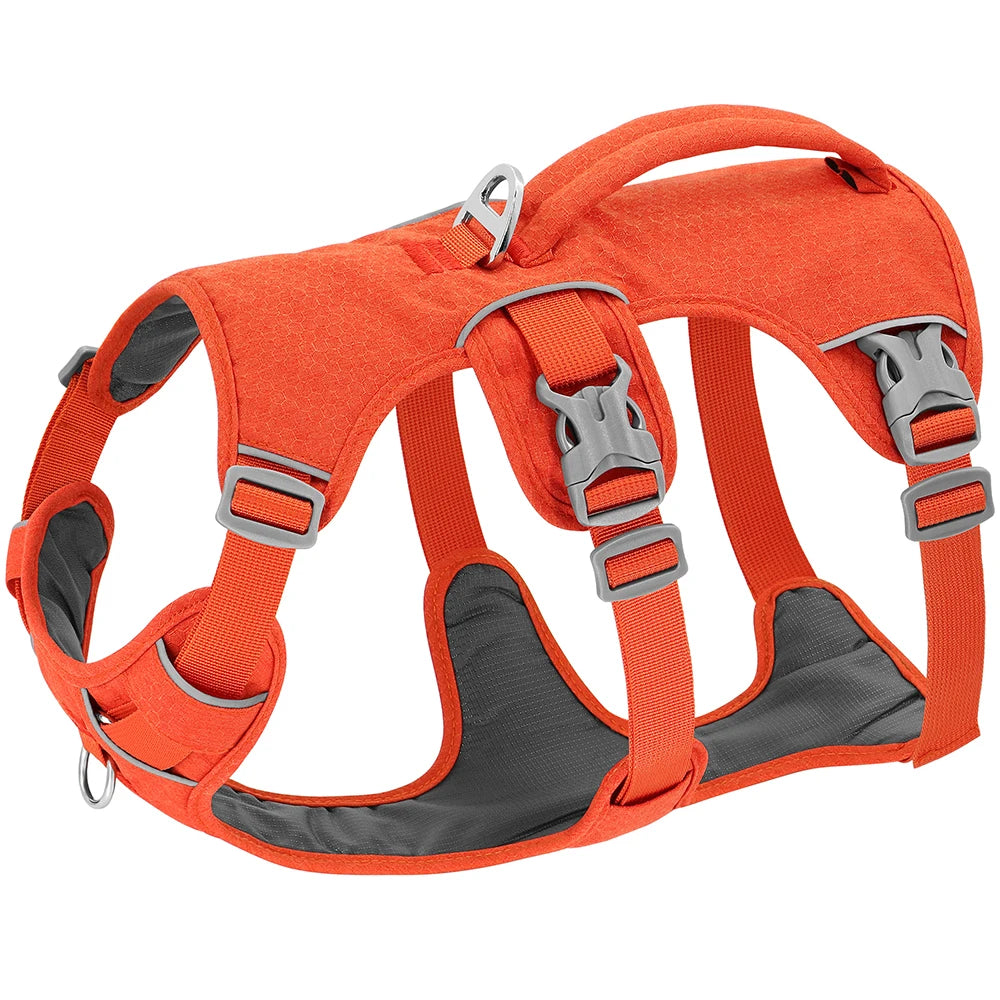 Arnés de Nylon Antipérdida para Perros con Asa de Control — Reflectante, Acolchado, Tallas XS–M