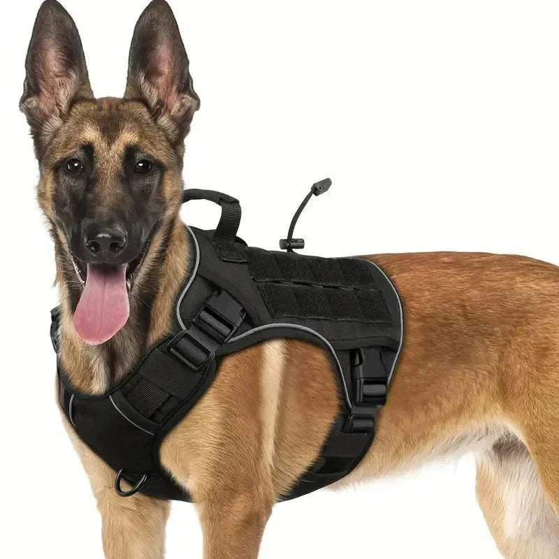 Chaleco Exterior Antisalpicaduras para Perro con Asa — Tallas S a XL