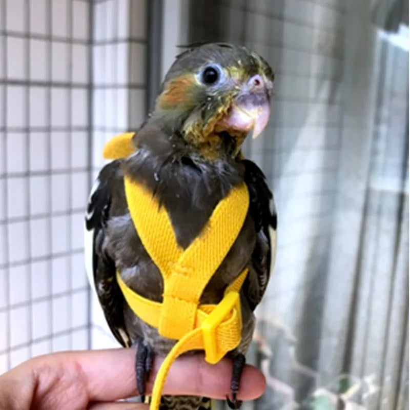 Arnés y Correa Ajustable para Pájaros — Loros, Periquitos y Cotorras