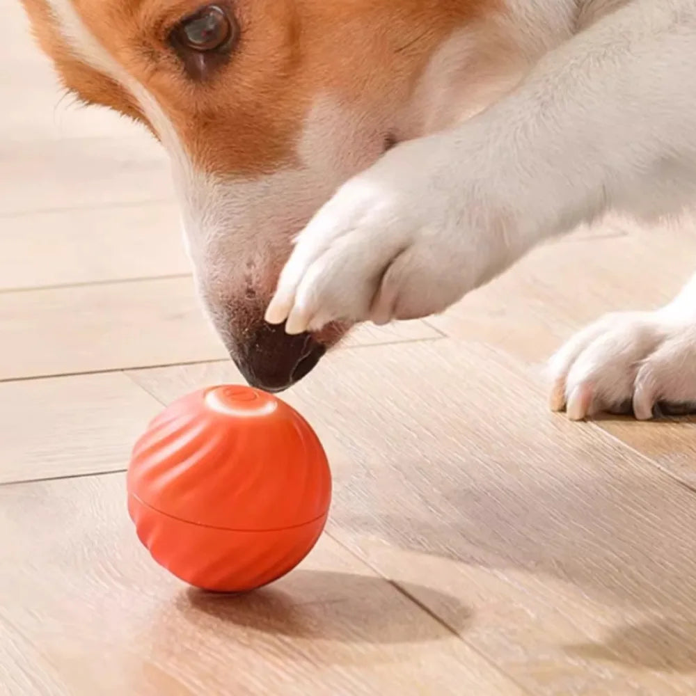 Pelota Inteligente Automática para Perros - Saltos y Rotación con Carga USB-C