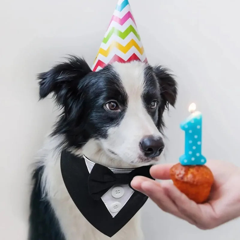 Pajarita Ajustable para Perros y Gatos – Accesorio Elegante para Fiestas y Cosplay | Tallas S a XL