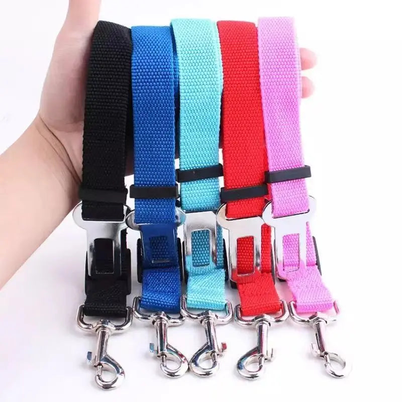 Cinturón de Seguridad para Perros en el Coche – Nylon