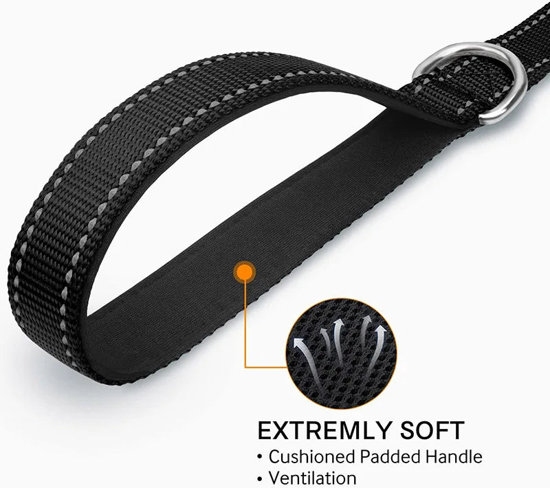 Correa Reflectante para Perros y Gatos — Paseo Nocturno, Varios Colores y Longitudes