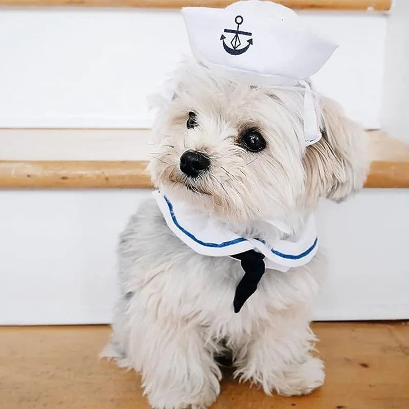 Disfraz de Marinero para Gatos y Perros Pequeños – Set con Sombrero y Capa | Talla Única