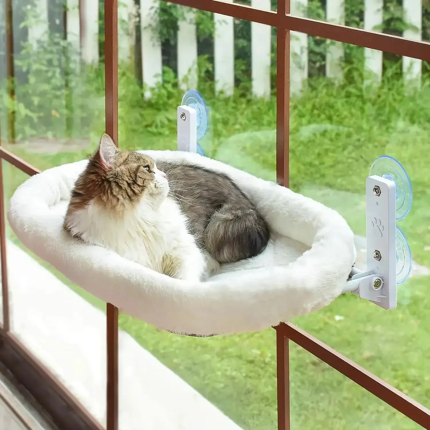 Hamaca para Gatos con Ventosa para Ventana
