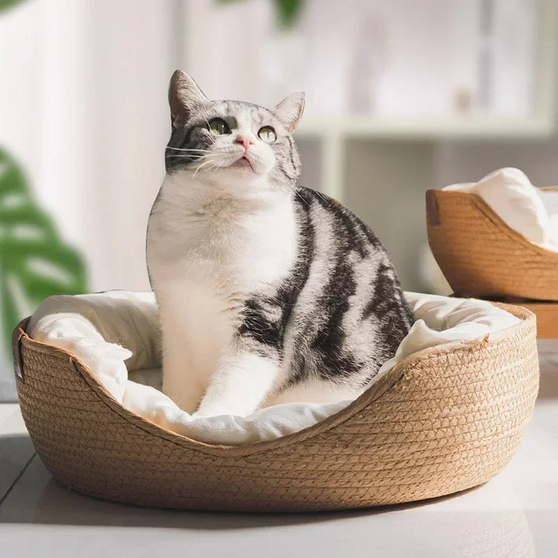Cama Sofá para Gatos Tejida a Mano | Ecológica