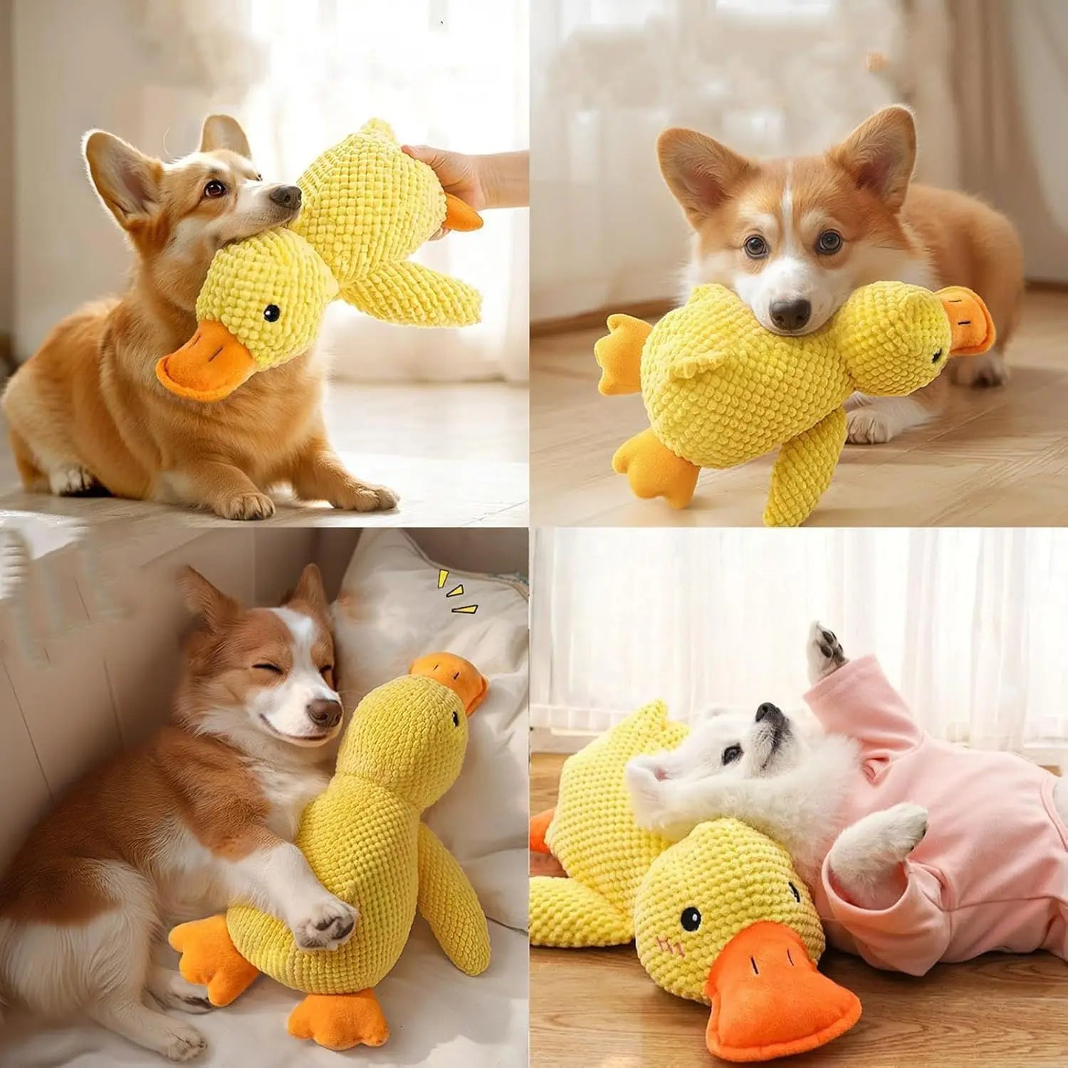 Pato de Peluche con Sonido para Perros - Resistente a Mordiscos para Razas Pequeñas y Grandes