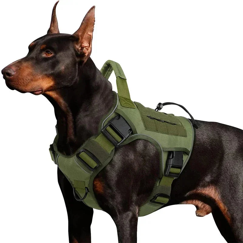 Chaleco Exterior Antisalpicaduras para Perro con Asa — Tallas S a XL