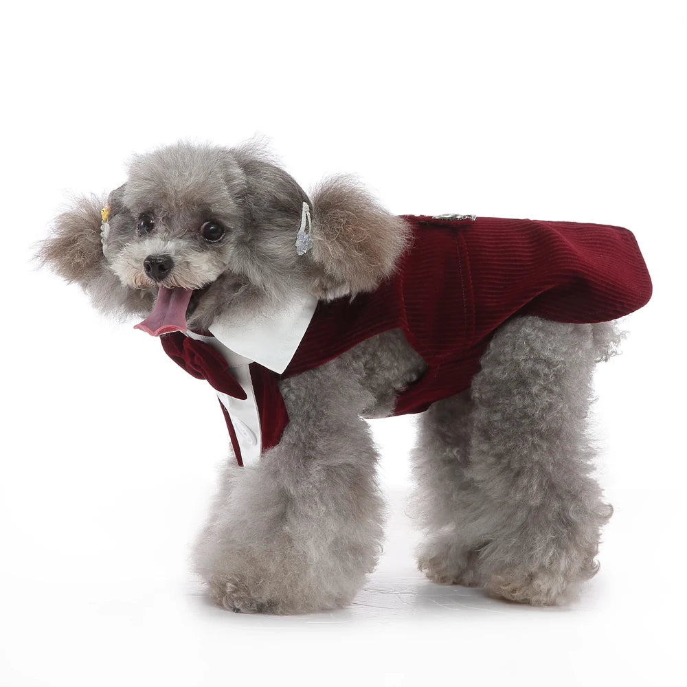 Esmoquin Formal con Pajarita para Perros y Gatos – Traje Elegante para Bodas, Halloween y Fiestas | Tallas XS a XL