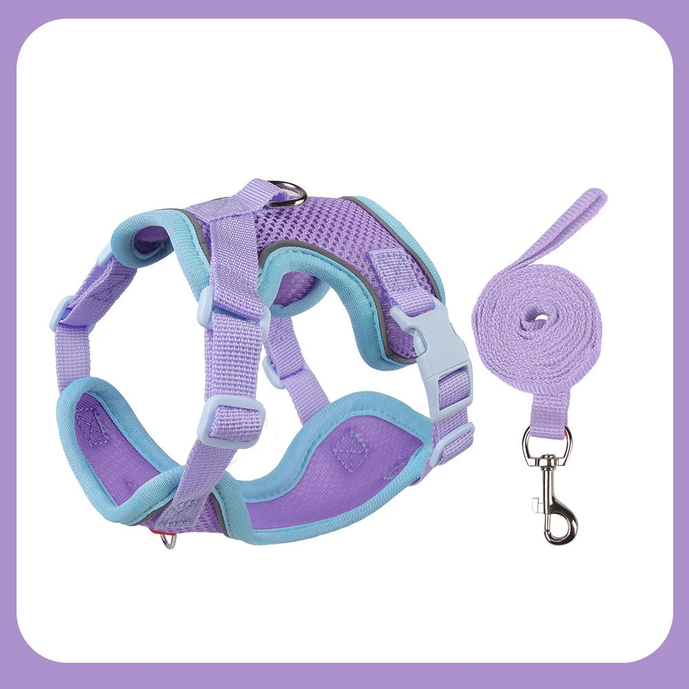 Arnés de Malla Transpirable con Correa Extensible para Gatos y Perros — Reflectante, Antipérdida, Tallas S–XL