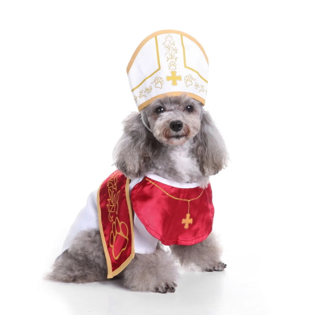 Set Disfraz con Sombrero para Perros y Gatos – Diseño Prisionero o Papa | Tallas S a L