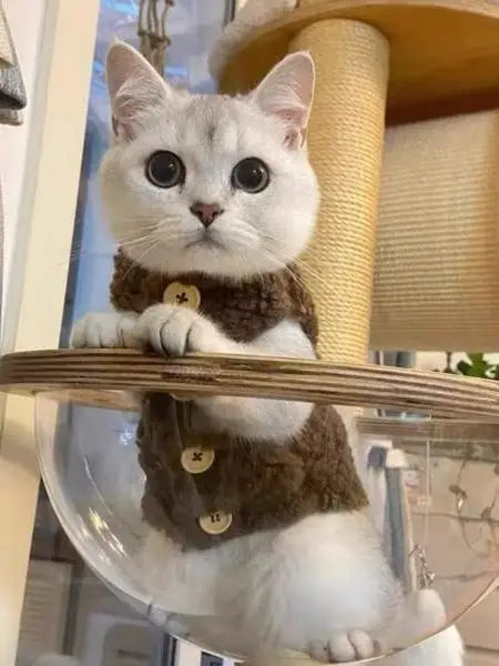 Chaleco de Lana de Cordero para Gatos – Cálido y Suave | Otoño-Invierno