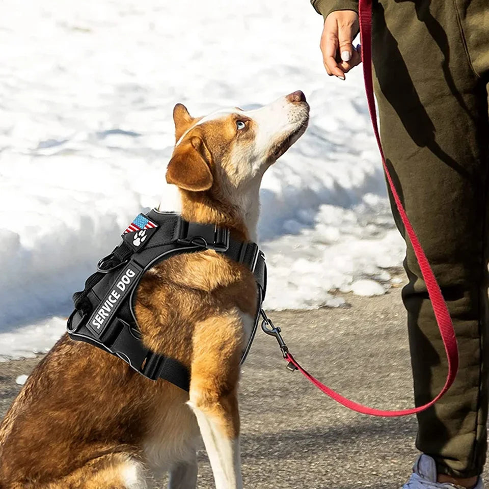 Arnés Tipo Chaleco para Perros — Sin Tirones, Reflectante, Malla Transpirable, Tallas XS–XL