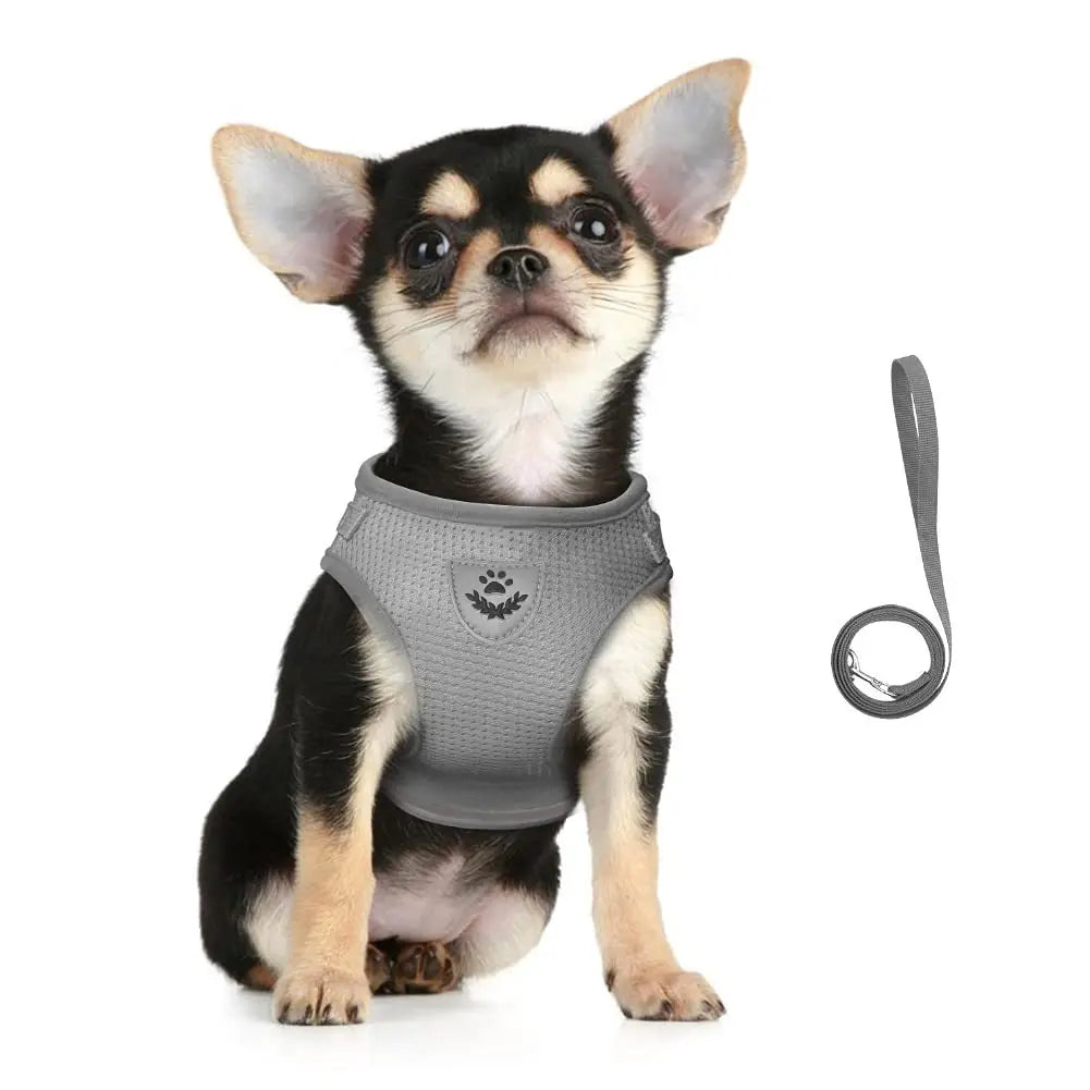 Arnés de Malla con Correa para Gatos y Perros Pequeños — Reflectante, Ajustable, Antipérdida, Tallas XS–XL