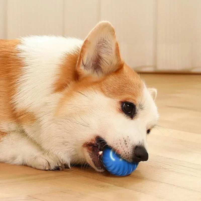 Pelota Inteligente Automática para Perros - Saltos y Rotación con Carga USB-C