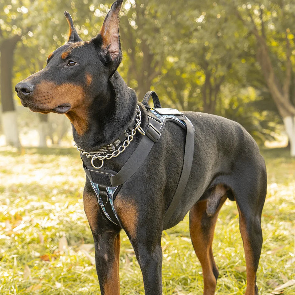 Arnés Tipo Chaleco para Perros — Sin Tirones, Reflectante, Malla Transpirable, Tallas XS–XL
