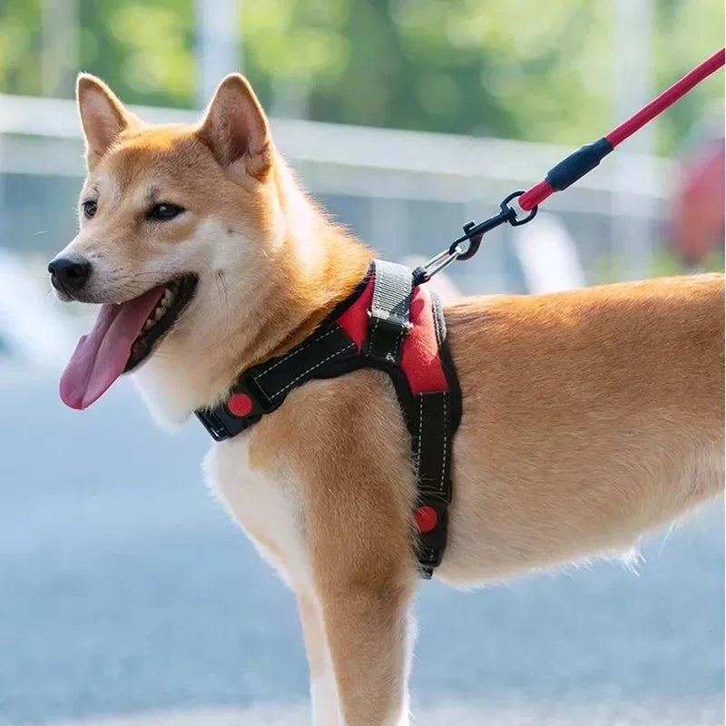 Arnés Tipo Sillín Ajustable para Perro con Correa Reflectante de 150 cm