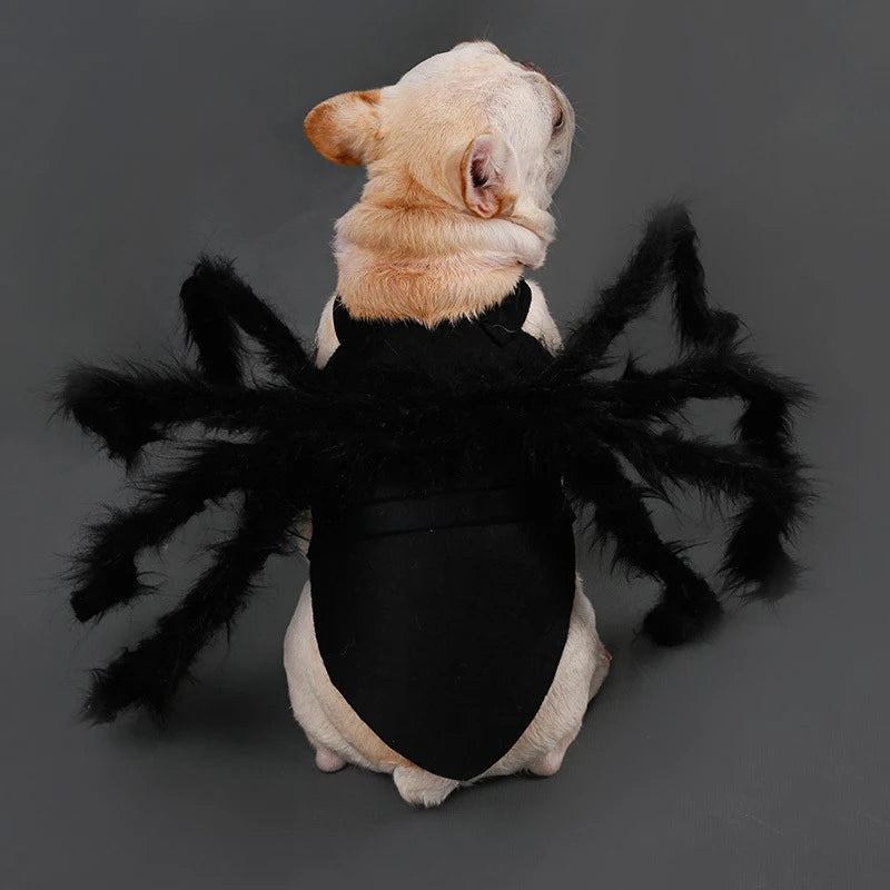 Disfraz de Araña para Perros y Gatos – Cosplay Divertido para Halloween y Fiestas | Tallas S y M