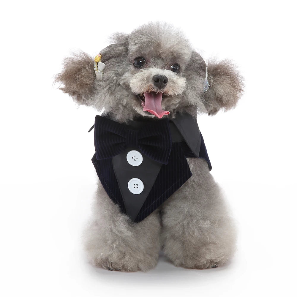 Esmoquin Formal con Pajarita para Perros y Gatos – Traje Elegante para Bodas, Halloween y Fiestas | Tallas XS a XL