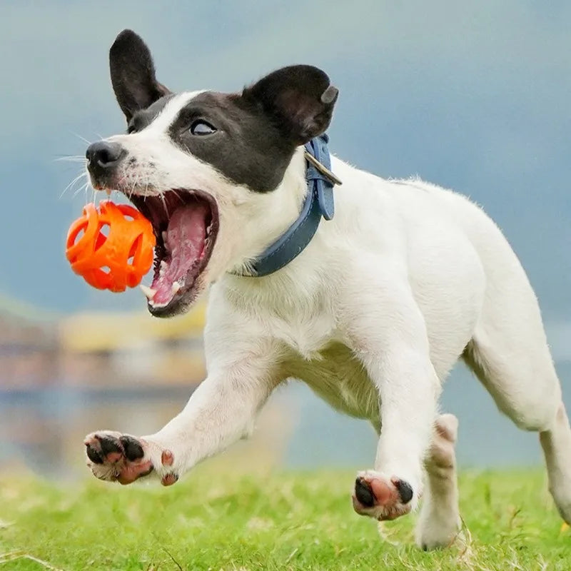 Pelota Hueca de Silicona para Perros - Resistente a Mordiscos, Elástica y Dispensadora