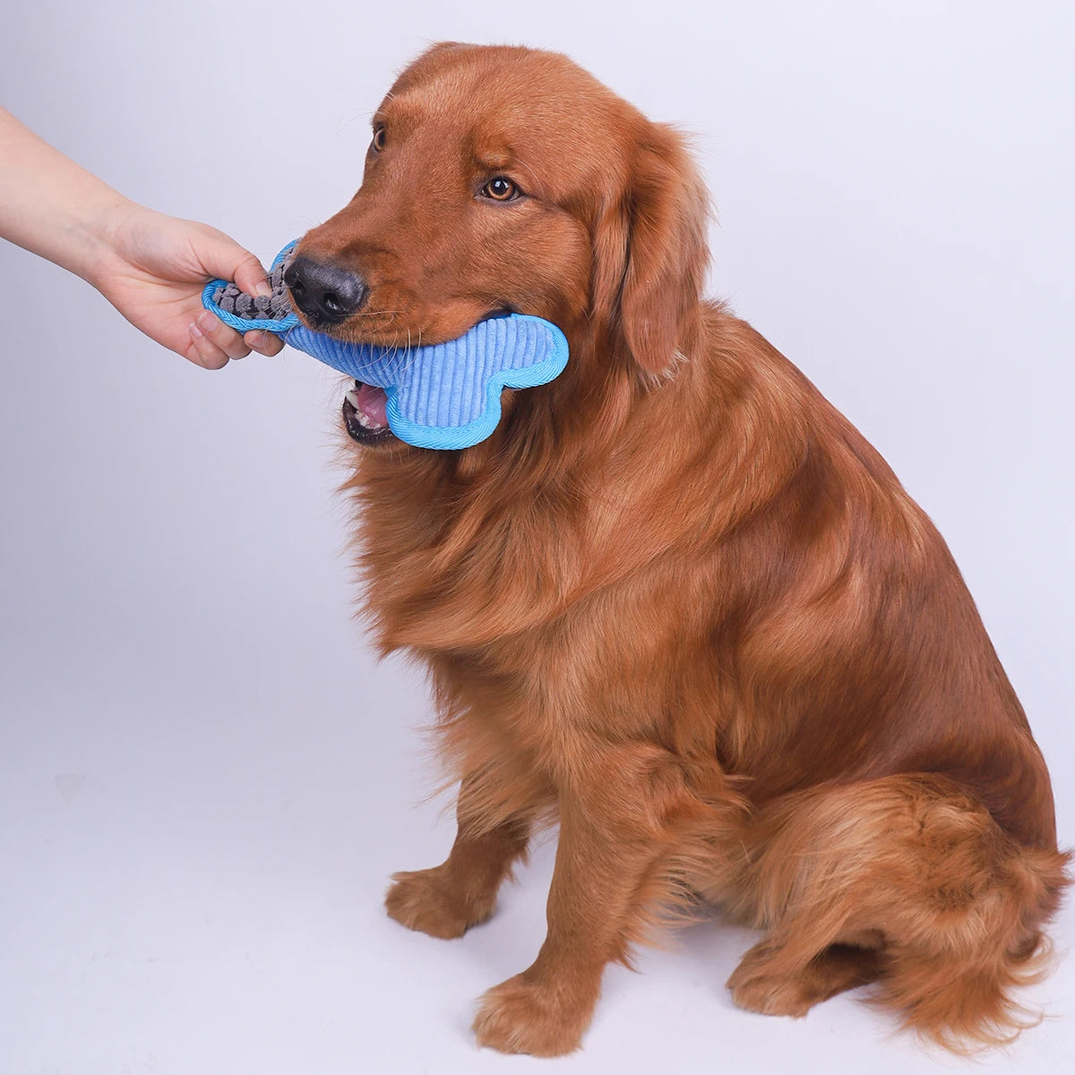 Hueso de Peluche con Sonido para Perros - Apto para Razas Pequeñas, Medianas y Grandes
