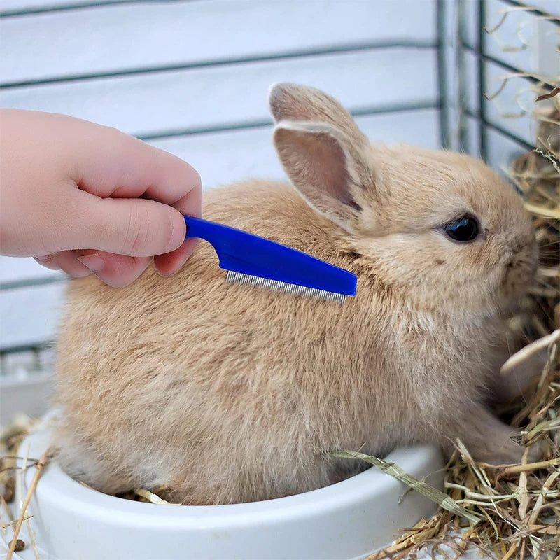 Kit de Aseo Completo para Conejos y Cobayas