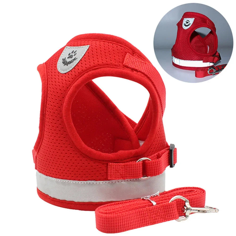 Arnés de Malla con Correa para Gatos y Perros Pequeños — Reflectante, Ajustable, Antipérdida, Tallas XS–XL