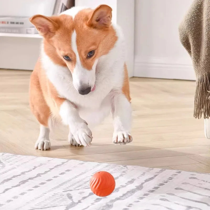 Pelota Inteligente Automática para Perros - Saltos y Rotación con Carga USB-C