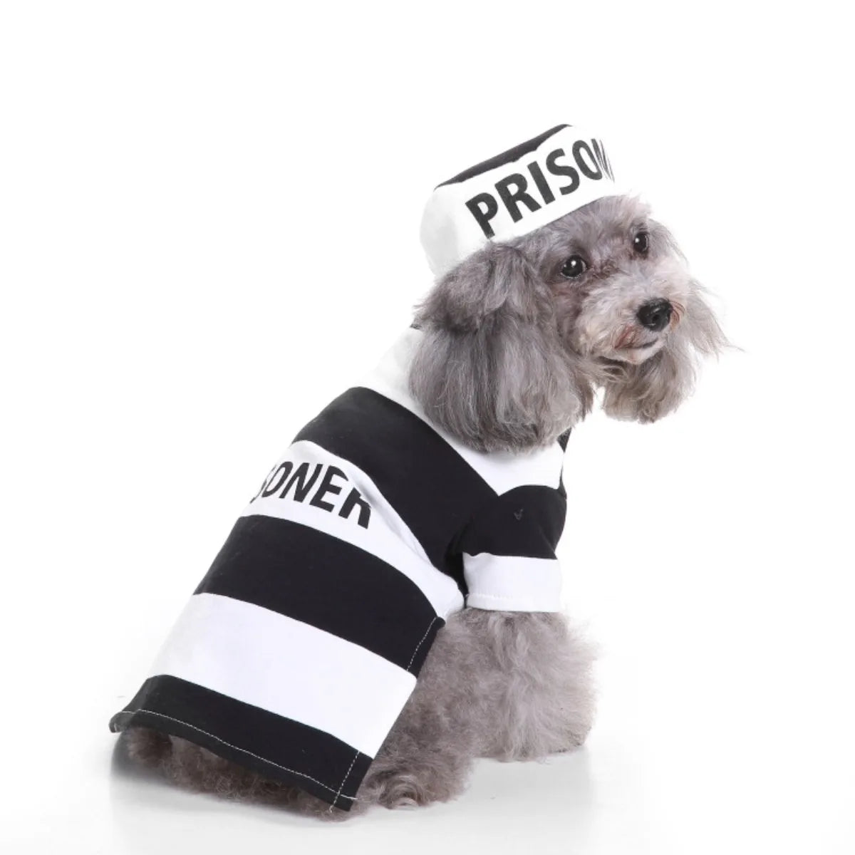 Set Disfraz con Sombrero para Perros y Gatos – Diseño Prisionero o Papa | Tallas S a L