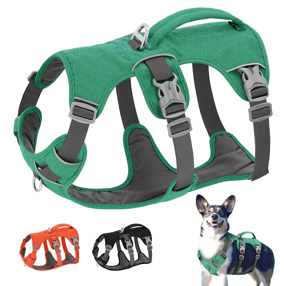Arnés de Nylon Antipérdida para Perros con Asa de Control — Reflectante, Acolchado, Tallas XS–M