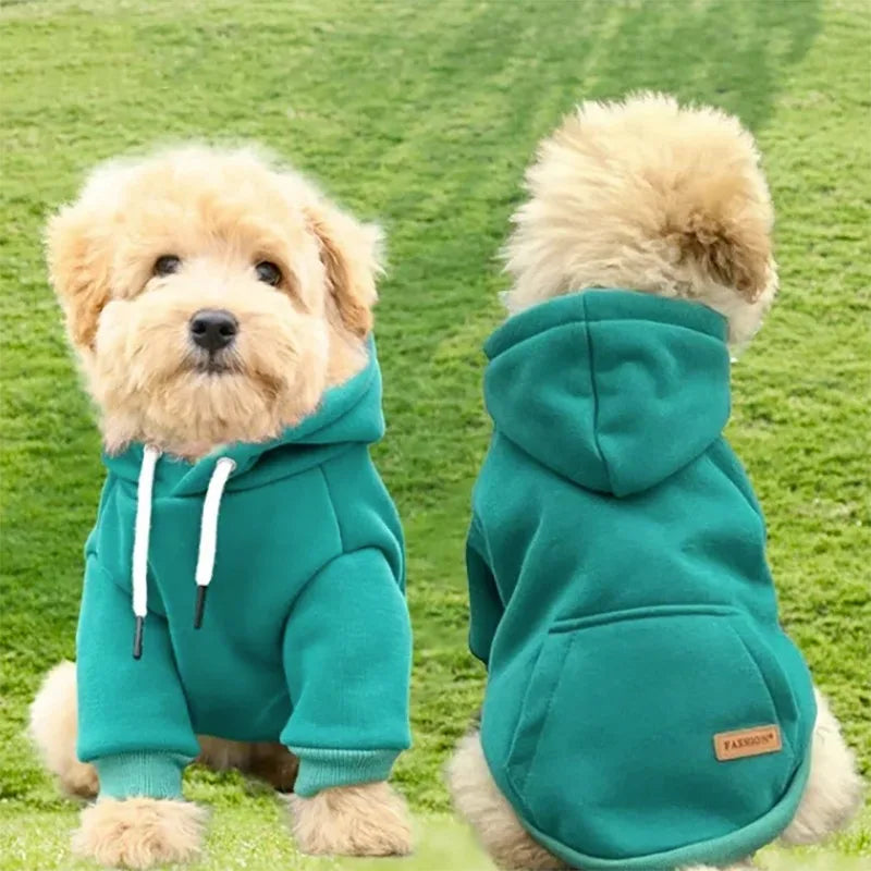 Sudadera Hoodie de Algodón para Perros Pequeños y Medianos – Estilo Clásico | Todas las Temporadas